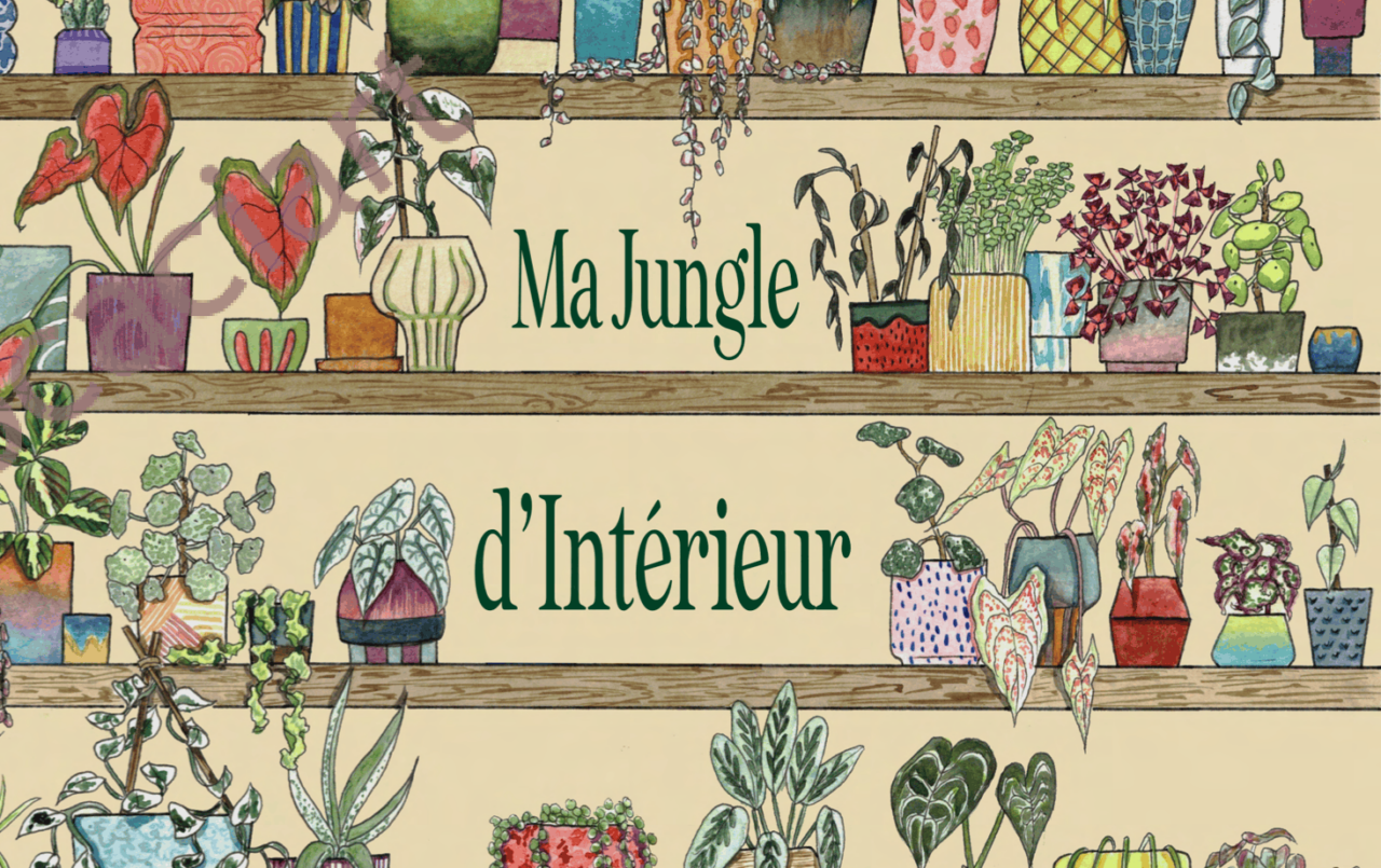Projet de fin d'année Ma jungle d'intérieur par Carla Auffray