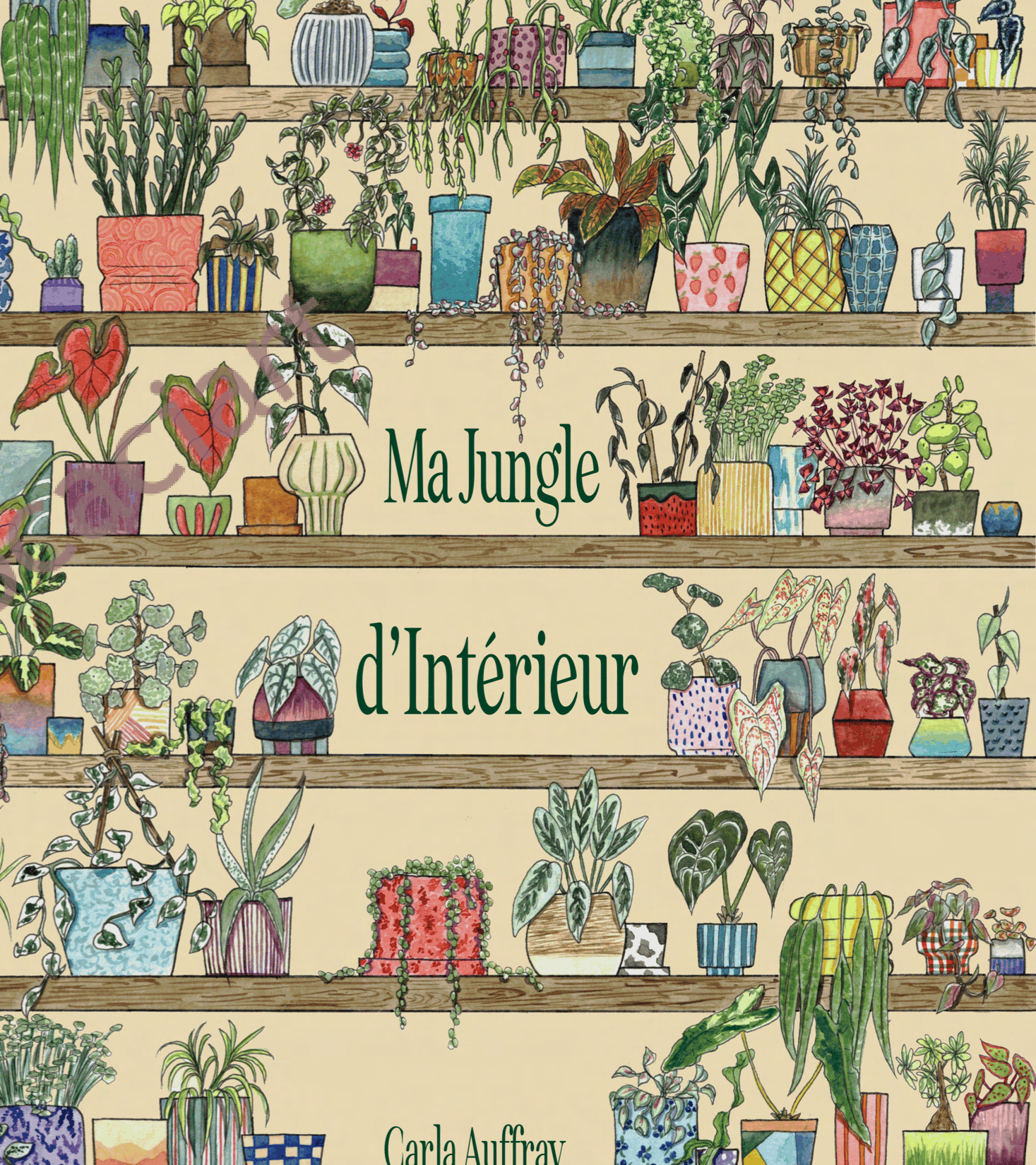 Projet de fin d'année Ma jungle d'intérieur par Carla Auffray