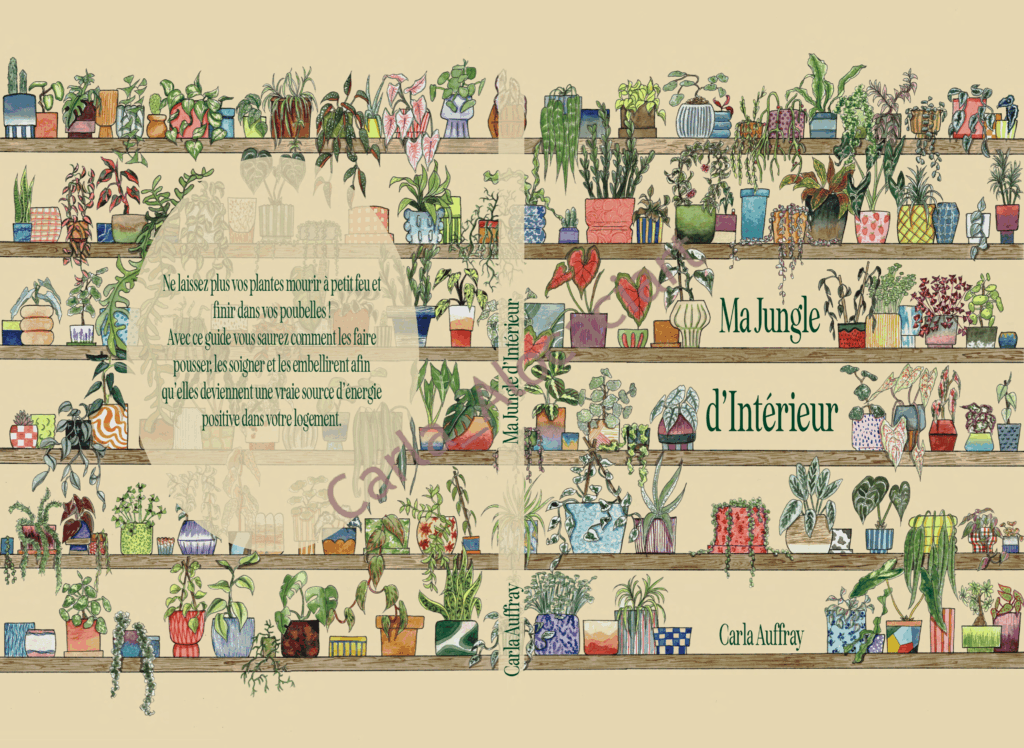 Projet de fin d'année Ma jungle d'intérieur par Carla Auffray