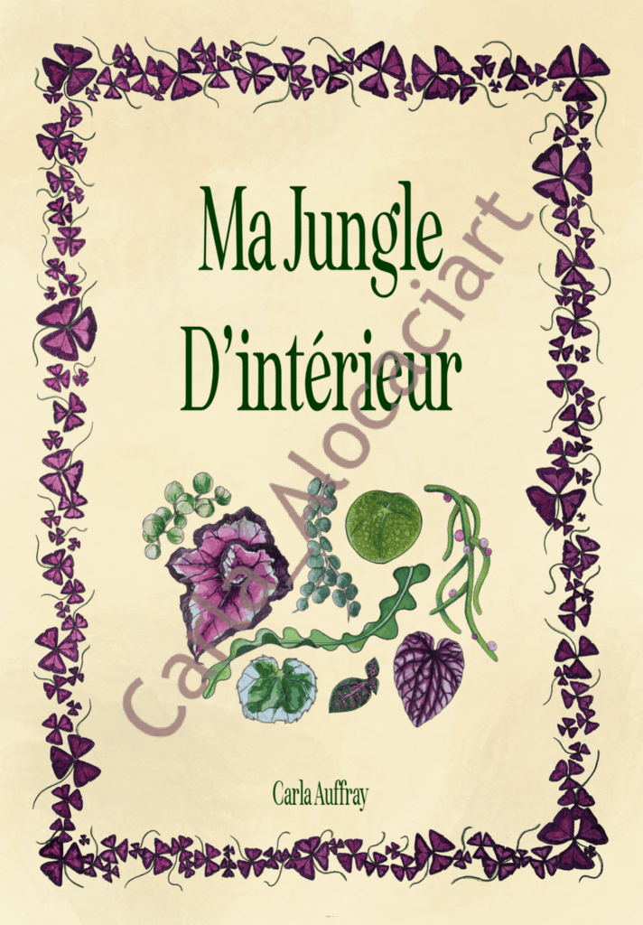 Projet de fin d'année Ma jungle d'intérieur par Carla Auffray
