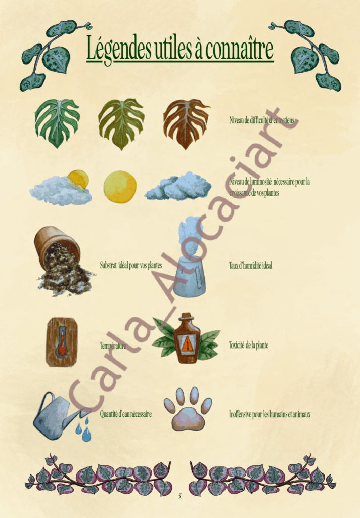 Projet de fin d'année Ma jungle d'intérieur par Carla Auffray