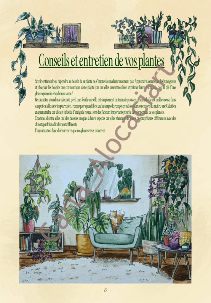 Projet de fin d'année Ma jungle d'intérieur par Carla Auffray