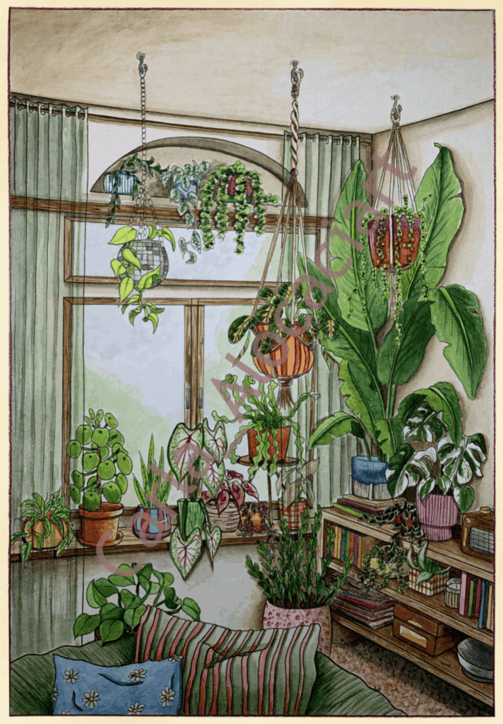 Projet de fin d'année Ma jungle d'intérieur par Carla Auffray