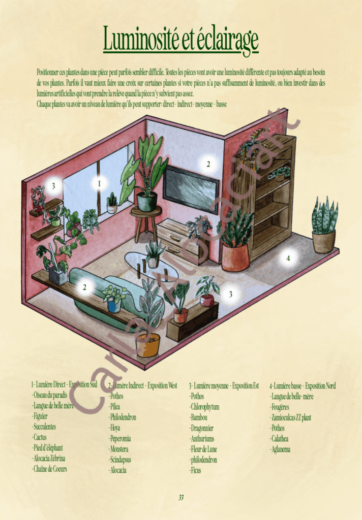 Projet de fin d'année Ma jungle d'intérieur par Carla Auffray