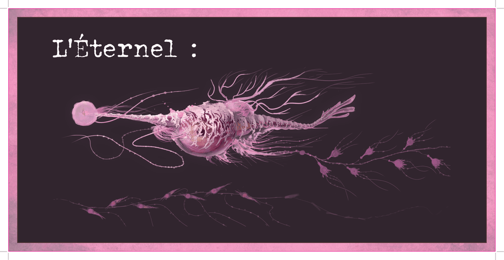 Projet de fin d'année Angel Flesh par Romain Thominet