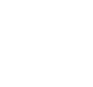 logo-iffdec